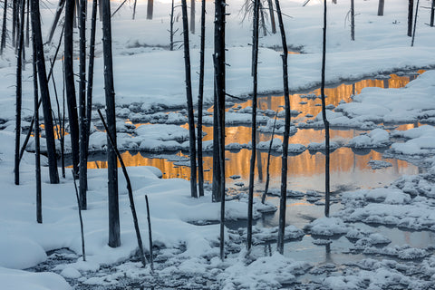 Yellowstone Landscape, Wyoming -  Art Wolfe - McGaw Graphics