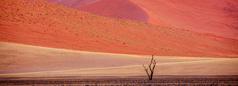 Sossusvlei, Namib-Naukluft National Park, Namibia -  Art Wolfe - McGaw Graphics