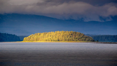 Glacier Bay National Park, Alaska, USA -  Art Wolfe - McGaw Graphics