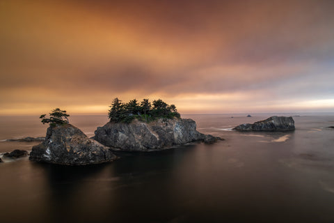 Samuel Boardman State Park, Oregon -  Art Wolfe - McGaw Graphics