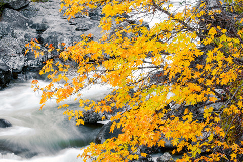 Icicle Creek, Cascade Range, Washington -  Art Wolfe - McGaw Graphics