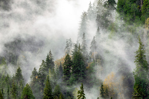 Cascade Range, Washington -  Art Wolfe - McGaw Graphics