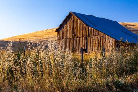 Palouse, Washington Workshop -  Art Wolfe - McGaw Graphics