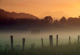 Ethereal Mount Rainier beyond the misty Nisqually Valley near Ashford, Washington -  Art Wolfe - McGaw Graphics