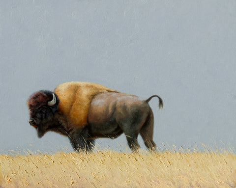 Back to the Wind