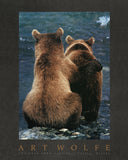 Two Bear Cubs -  Art Wolfe - McGaw Graphics