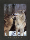 Boreal Interlude, Canada -  Art Wolfe - McGaw Graphics