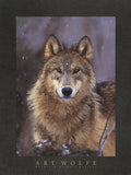 Woodland Pride, Montana -  Art Wolfe - McGaw Graphics