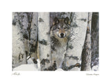Mountain Ranger -  Art Wolfe - McGaw Graphics