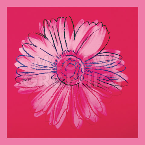 Daisy, c. 1982 (crimson and pink) -  Andy Warhol - McGaw Graphics