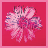 Daisy, c. 1982 (crimson and pink) -  Andy Warhol - McGaw Graphics