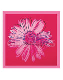 Daisy, c. 1982 (crimson and pink) -  Andy Warhol - McGaw Graphics