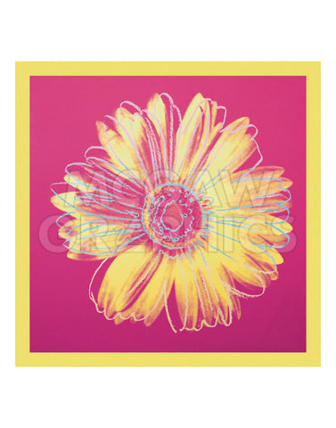 Daisy, c.1982 (fuchsia & yellow) -  Andy Warhol - McGaw Graphics