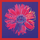 Daisy, c.1982 (blue & red) -  Andy Warhol - McGaw Graphics