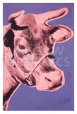 Cow, 1976 (pink & purple) -  Andy Warhol - McGaw Graphics