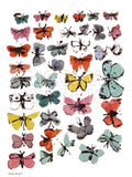 Butterflies, 1955  (many/varied colors) -  Andy Warhol - McGaw Graphics