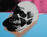 Skull, 1976 (white on blue and pink) -  Andy Warhol - McGaw Graphics