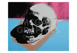 Skull, 1976 (white on blue and pink) -  Andy Warhol - McGaw Graphics