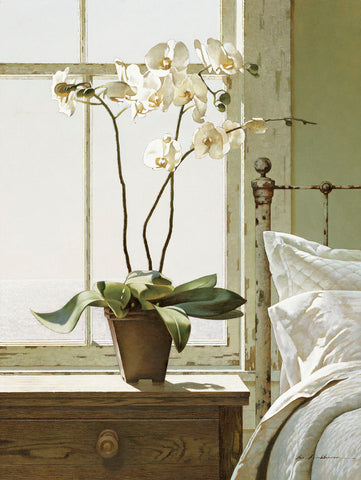 Bedside Orchid -  Zhen-Huan Lu - McGaw Graphics