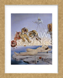 Dream Caused by the Flight of a Bee... (Framed) -  Salvador Dali - McGaw Graphics