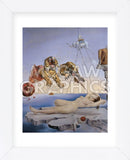 Dream Caused by the Flight of a Bee... (Framed) -  Salvador Dali - McGaw Graphics