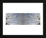 A Dusting of Snow (Framed) -  Erin Clark - McGaw Graphics