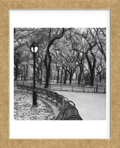 A Walk Through the Park  (Framed) -  Erin Clark - McGaw Graphics