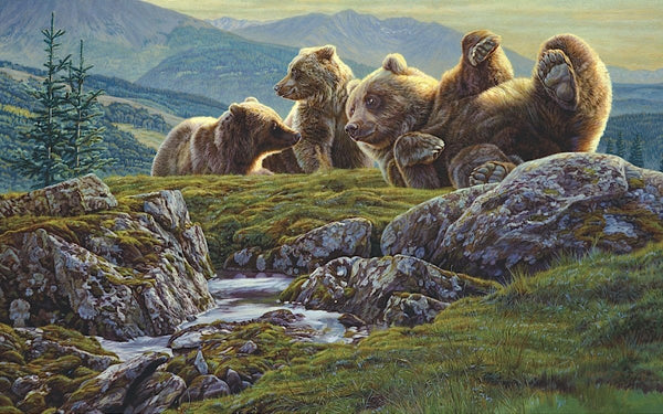 Above the Ridge | McGaw Graphics
