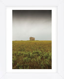 Abandoned Farmhouse (Framed) -  Michael Hudson - McGaw Graphics